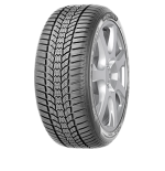 205/55 R16 ESKIMO HP 2 [91] H
