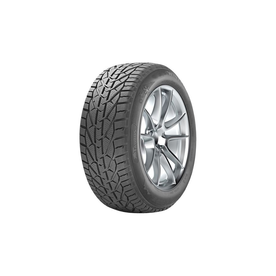 205/55 R16 WINTER [94] H XL FR