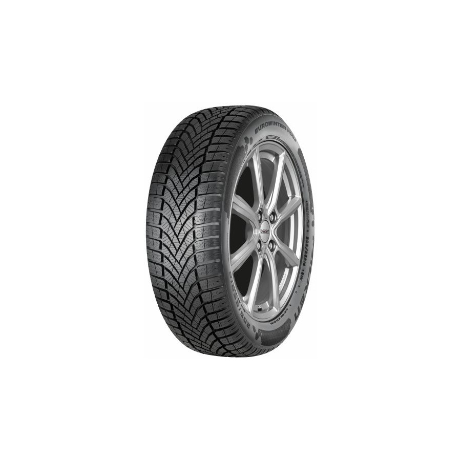 175/65 R17 EUROWINTER HS02 [87] H